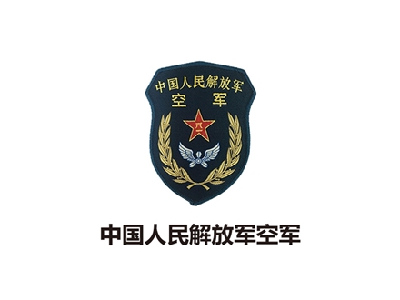 中國人民解放軍空軍